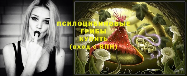 гидропоника Зеленодольск
